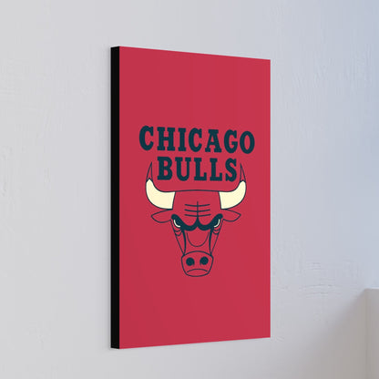 Chicago Bulls