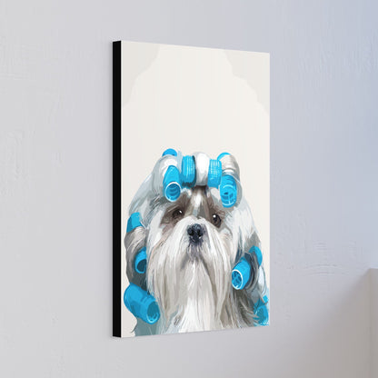 Shih Tzu fashion