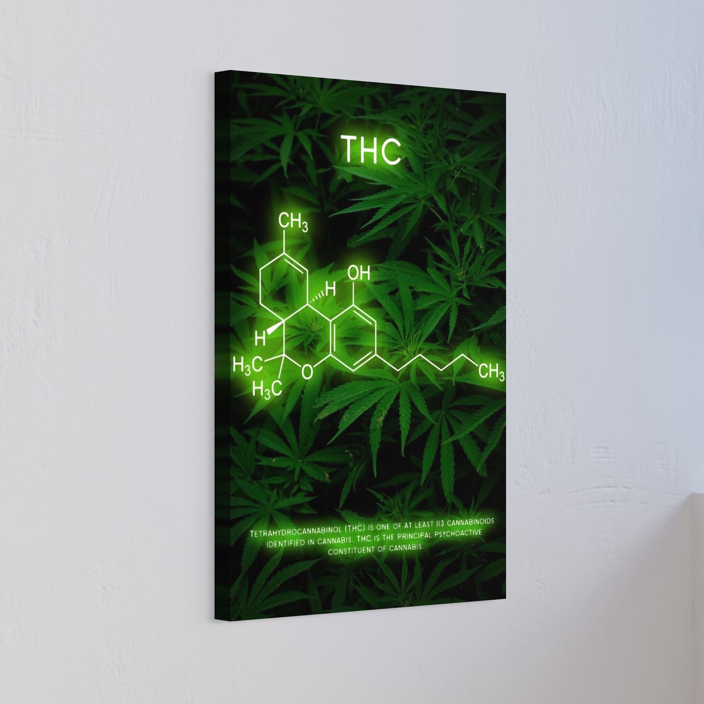 THC cannabis