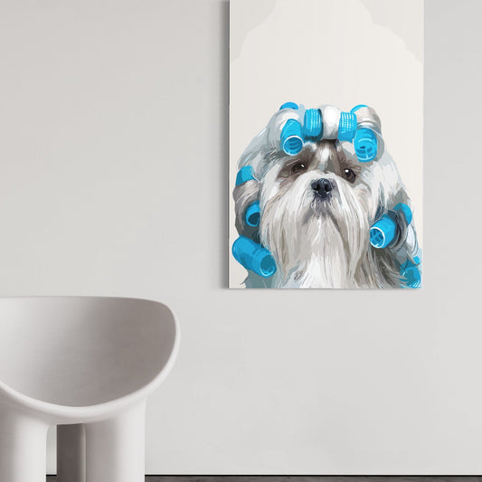 Shih Tzu fashion