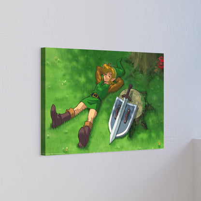 The Legend of Zelda, Link